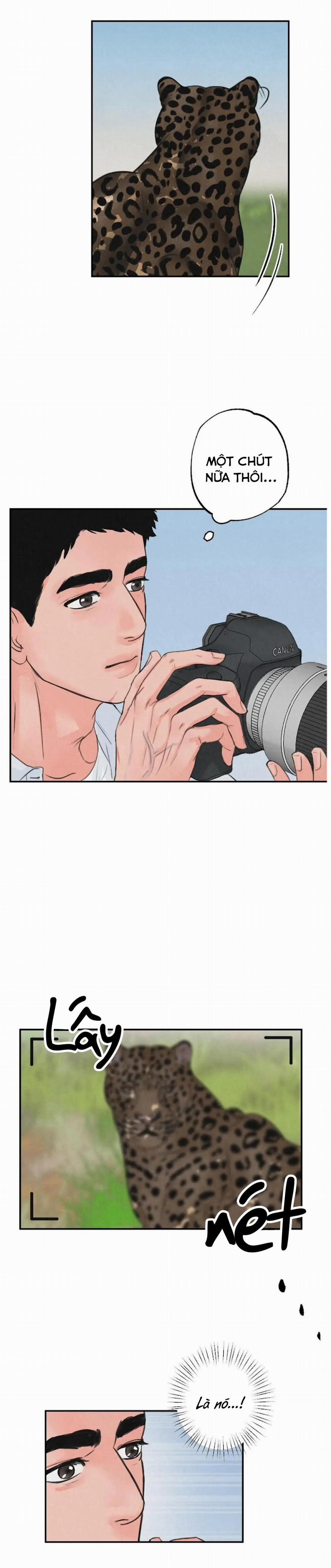 Tuyển Tập Manhwa 18+ 35 Safari Game trang 1