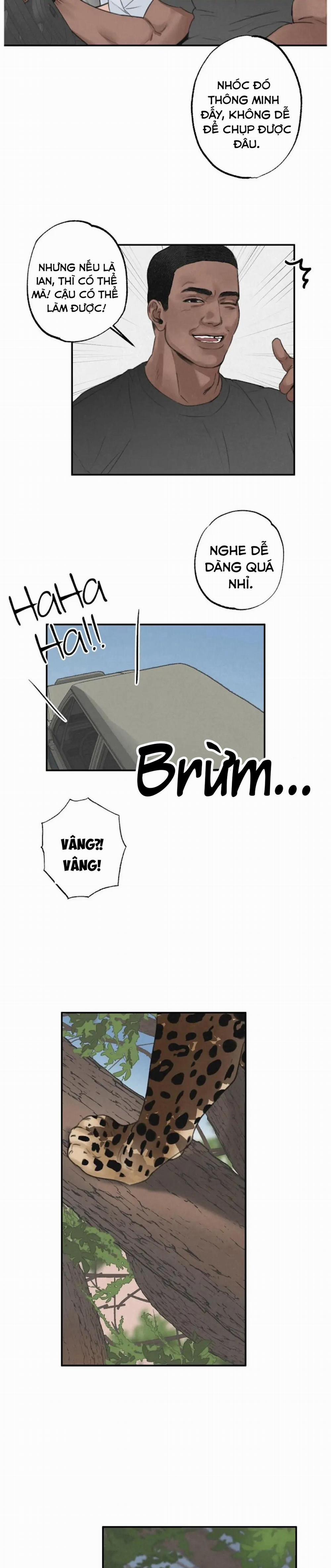 Tuyển Tập Manhwa 18+ 35 Safari Game trang 7