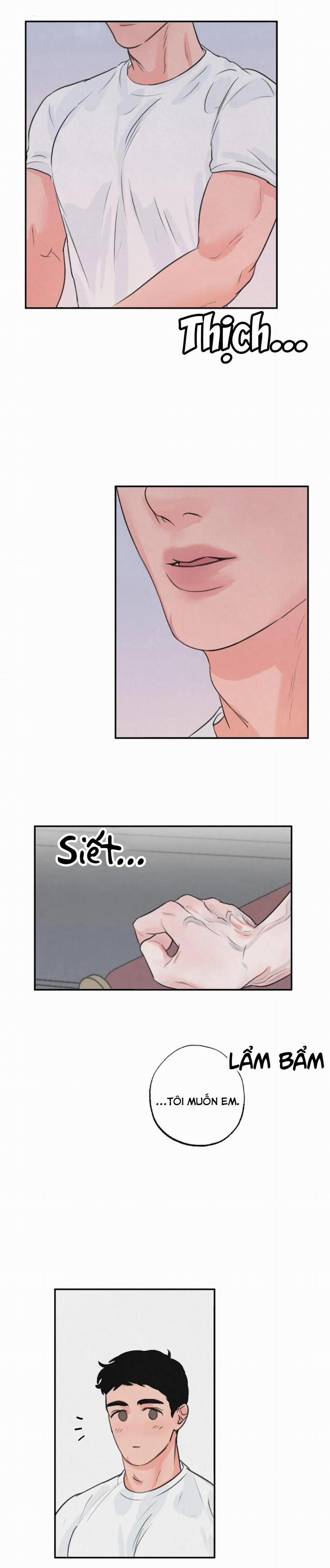 Tuyển Tập Manhwa 18+ 36 Safari Game trang 8