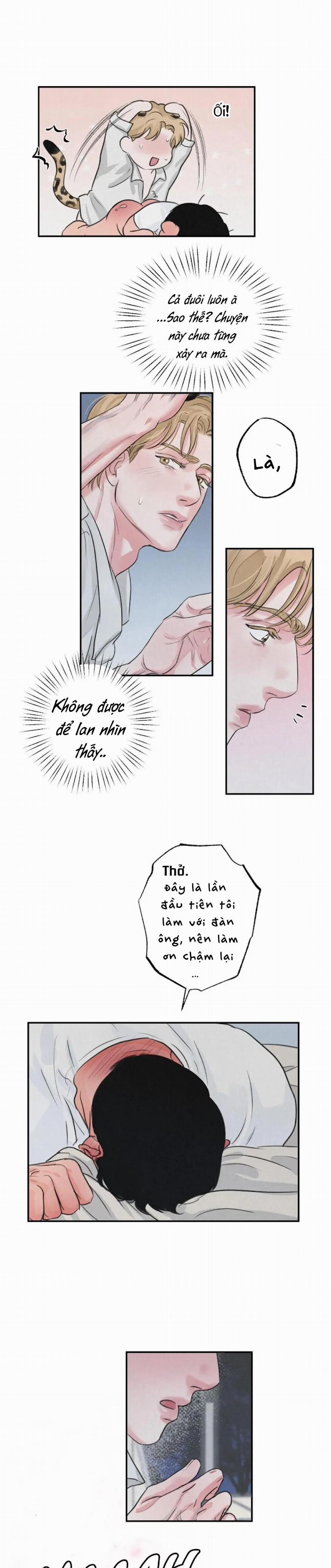 Tuyển Tập Manhwa 18+ 37 Safari Game trang 16