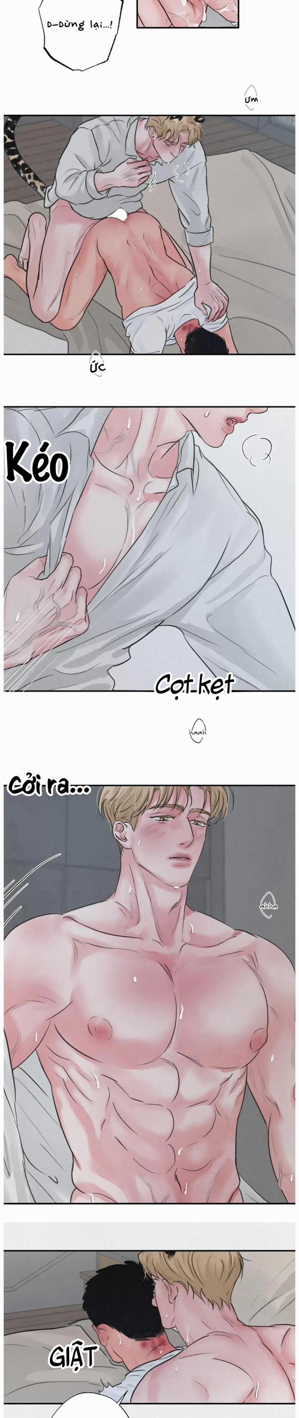 Tuyển Tập Manhwa 18+ 38 Safari Game trang 1