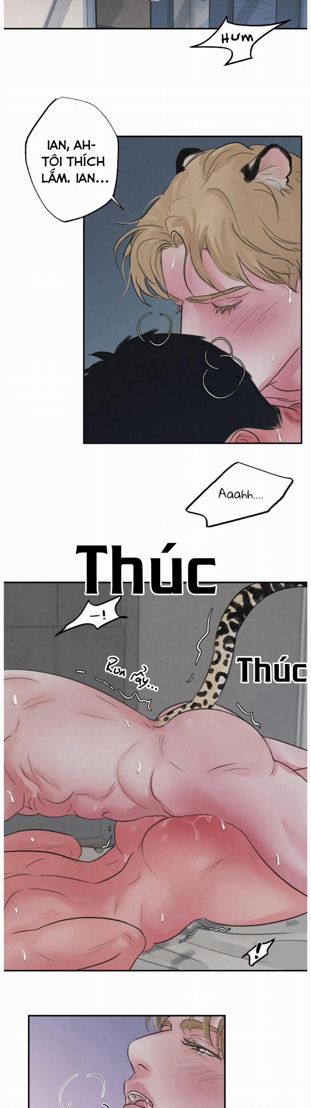 Tuyển Tập Manhwa 18+ 38 Safari Game trang 17