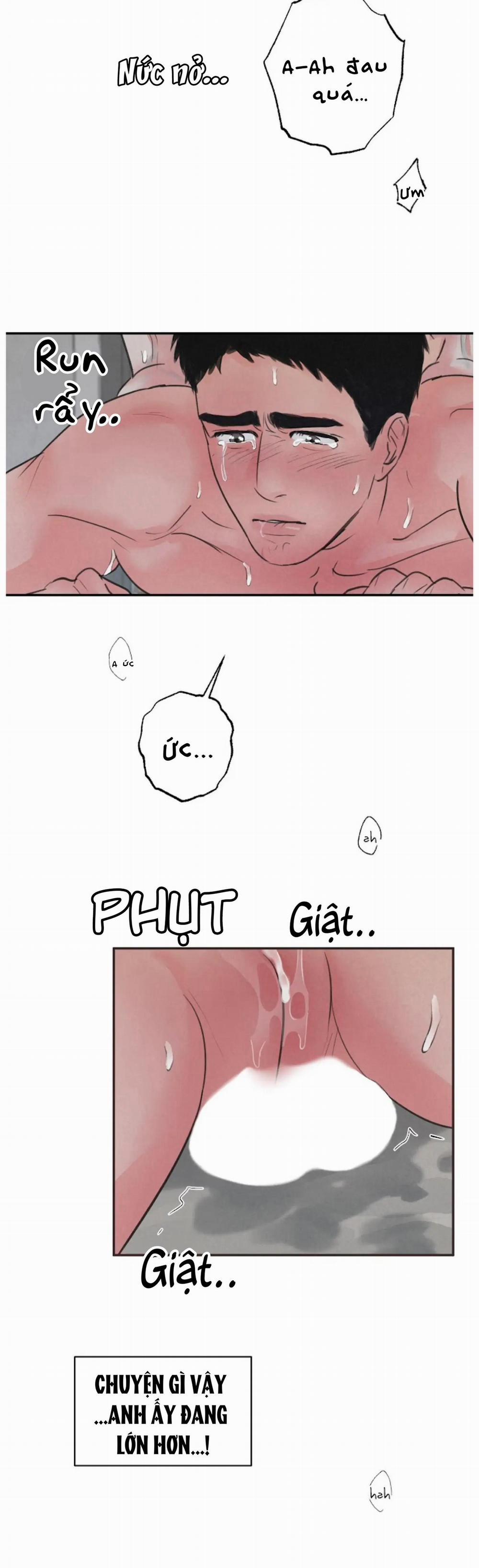 Tuyển Tập Manhwa 18+ 38 Safari Game trang 19