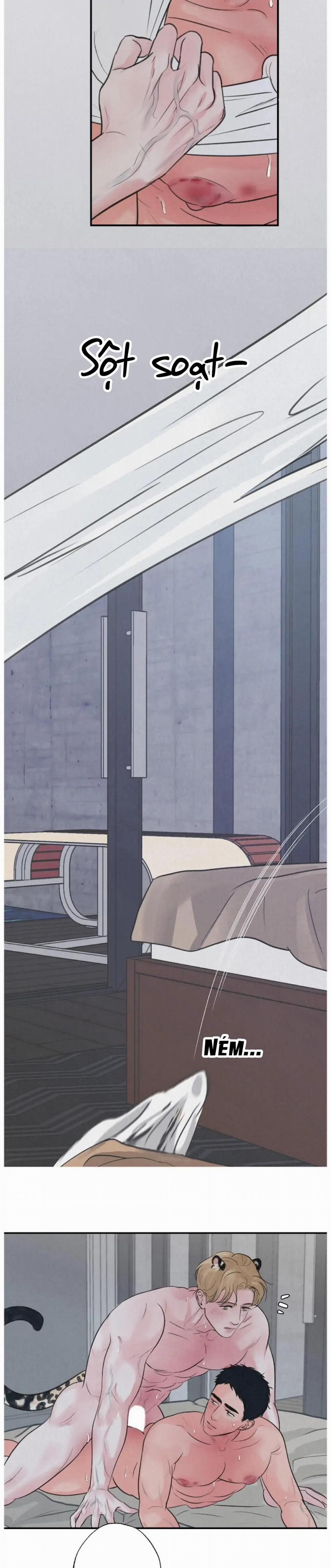 Tuyển Tập Manhwa 18+ 38 Safari Game trang 4