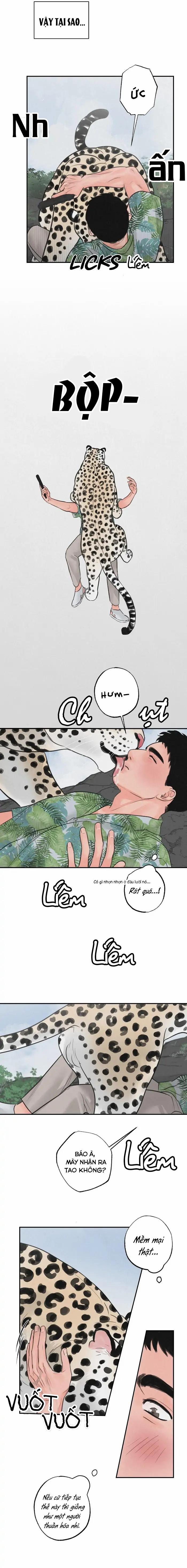 Tuyển Tập Manhwa 18+ 39 Safari Game trang 10