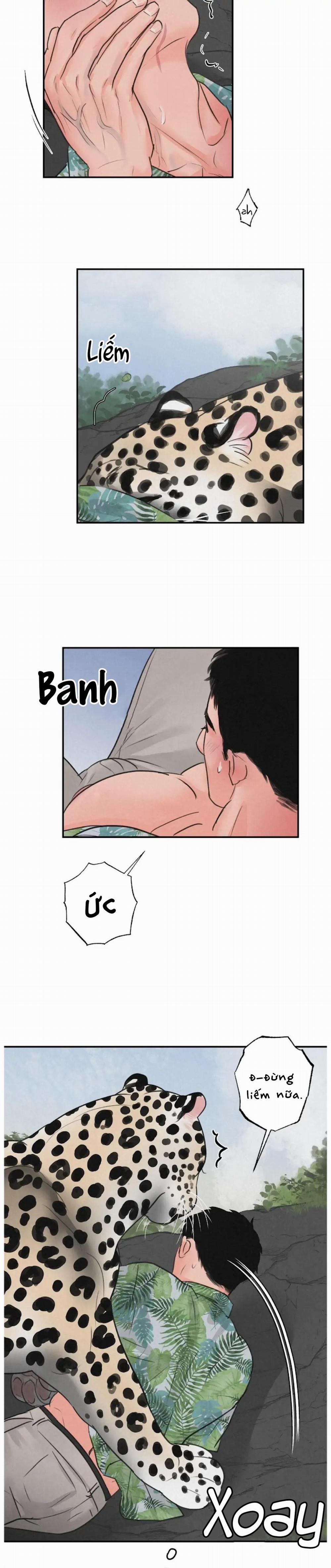 Tuyển Tập Manhwa 18+ 40 Safari Game trang 1