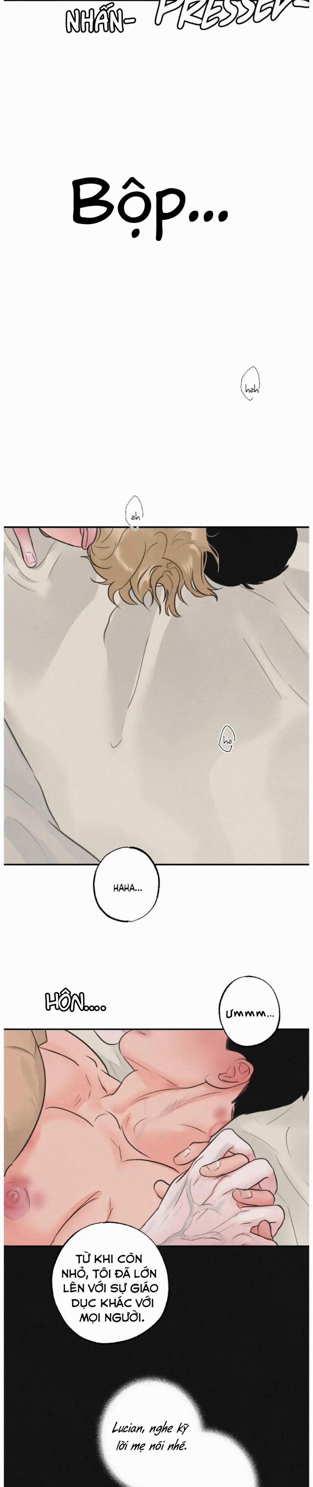 Tuyển Tập Manhwa 18+ 41 Safari Game trang 10