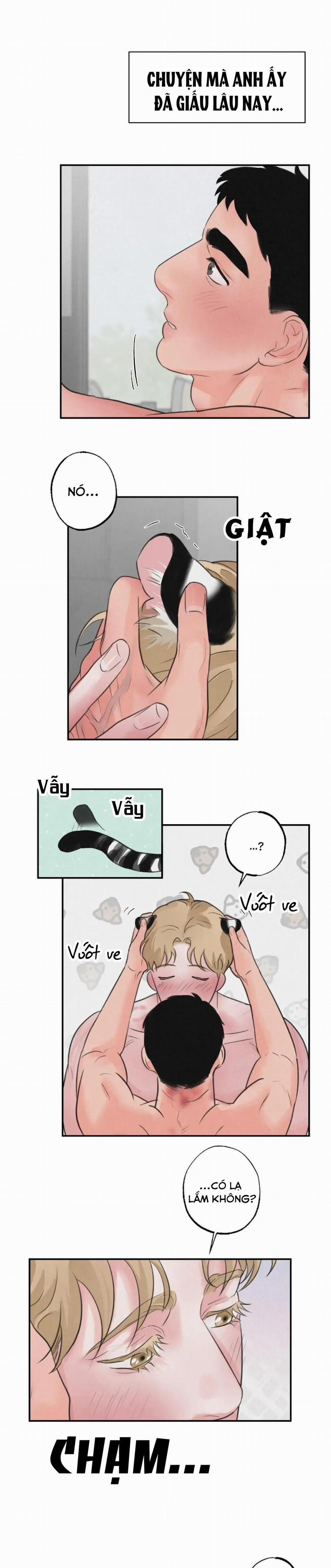 Tuyển Tập Manhwa 18+ 42 Safari Game trang 12