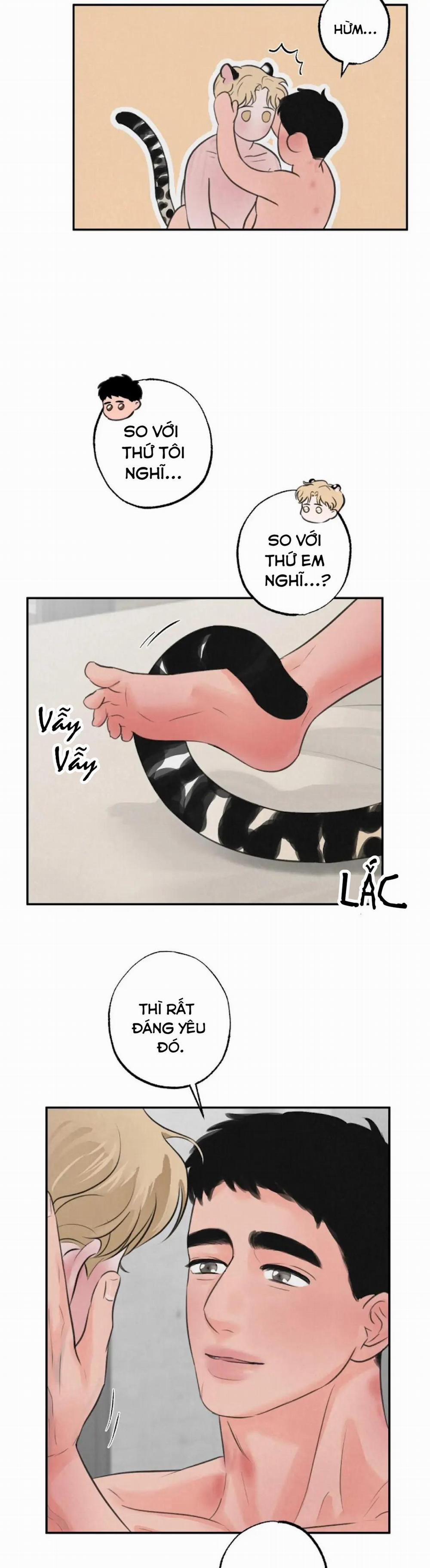 Tuyển Tập Manhwa 18+ 42 Safari Game trang 13