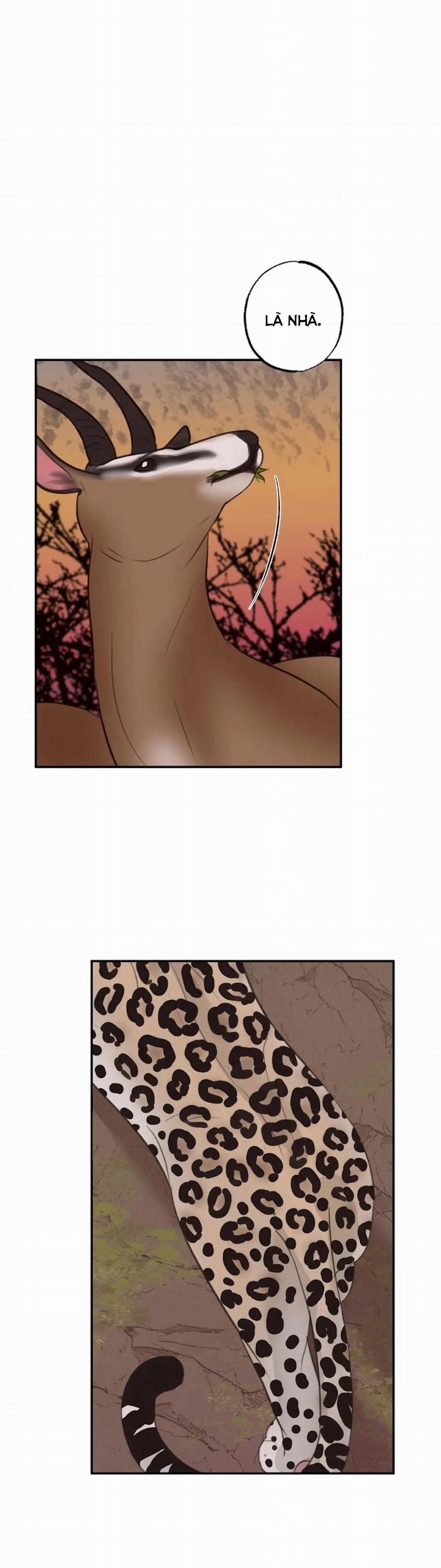 Tuyển Tập Manhwa 18+ 43 Safari Game trang 22