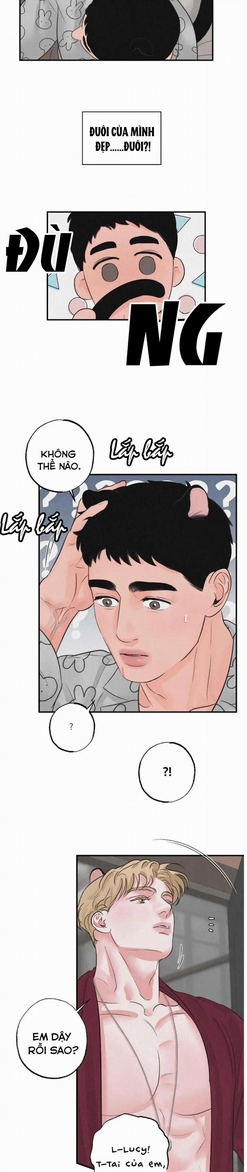 Tuyển Tập Manhwa 18+ 45 Safari Game trang 4