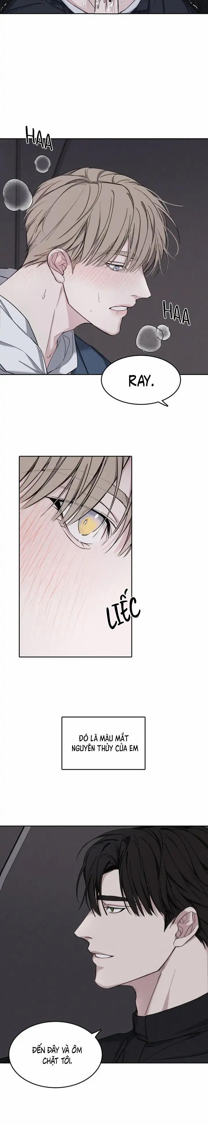 Tuyển Tập Manhwa 18+ 54 Đêm Thú Tội trang 23