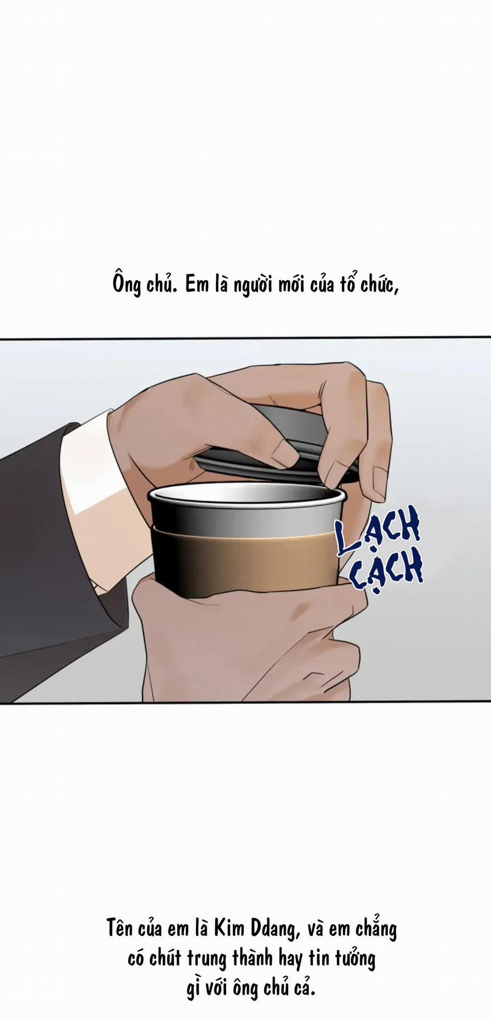 Tuyển Tập Manhwa 18+ 58 Boss! Đừng trang 0