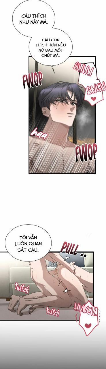 Tuyển Tập Manhwa 18+ 64 end trang 9