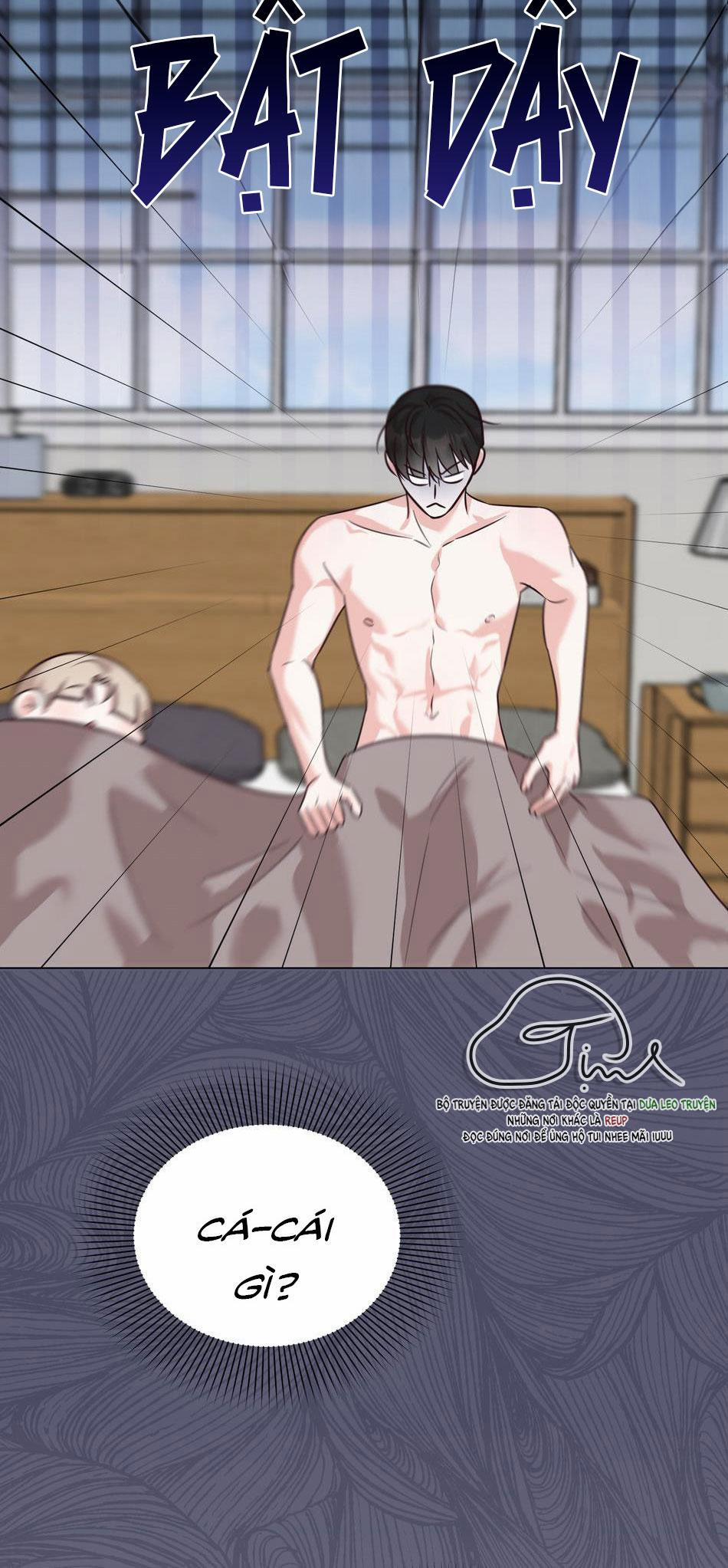 Tuyển Tập Manhwa Dằm Khăm 10 trang 46