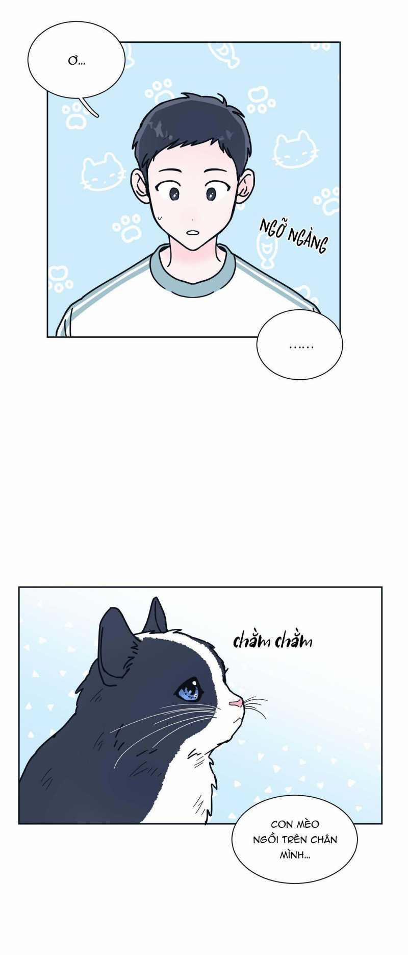 Tuyển Tập Manhwa Dằm Khăm 16 trang 1