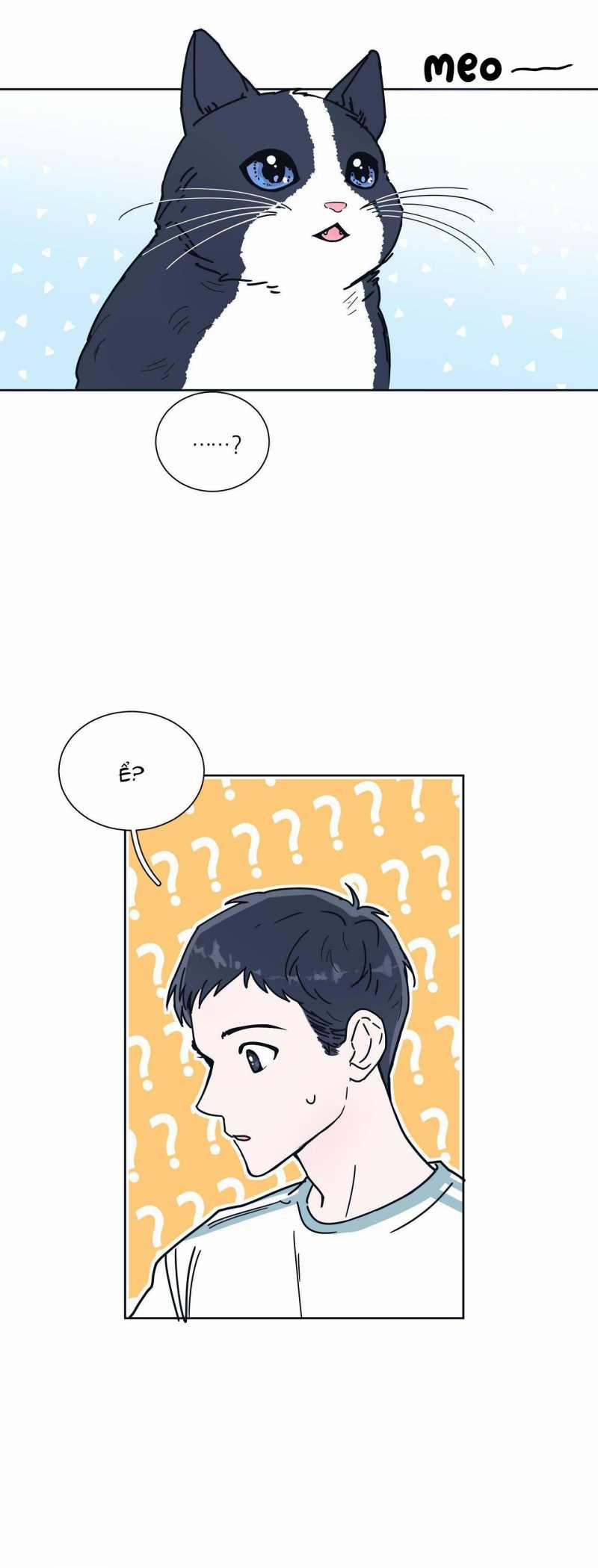 Tuyển Tập Manhwa Dằm Khăm 16 trang 4