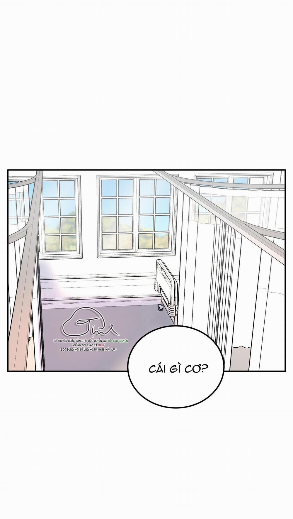 Tuyển Tập Manhwa Dằm Khăm 20 trang 1