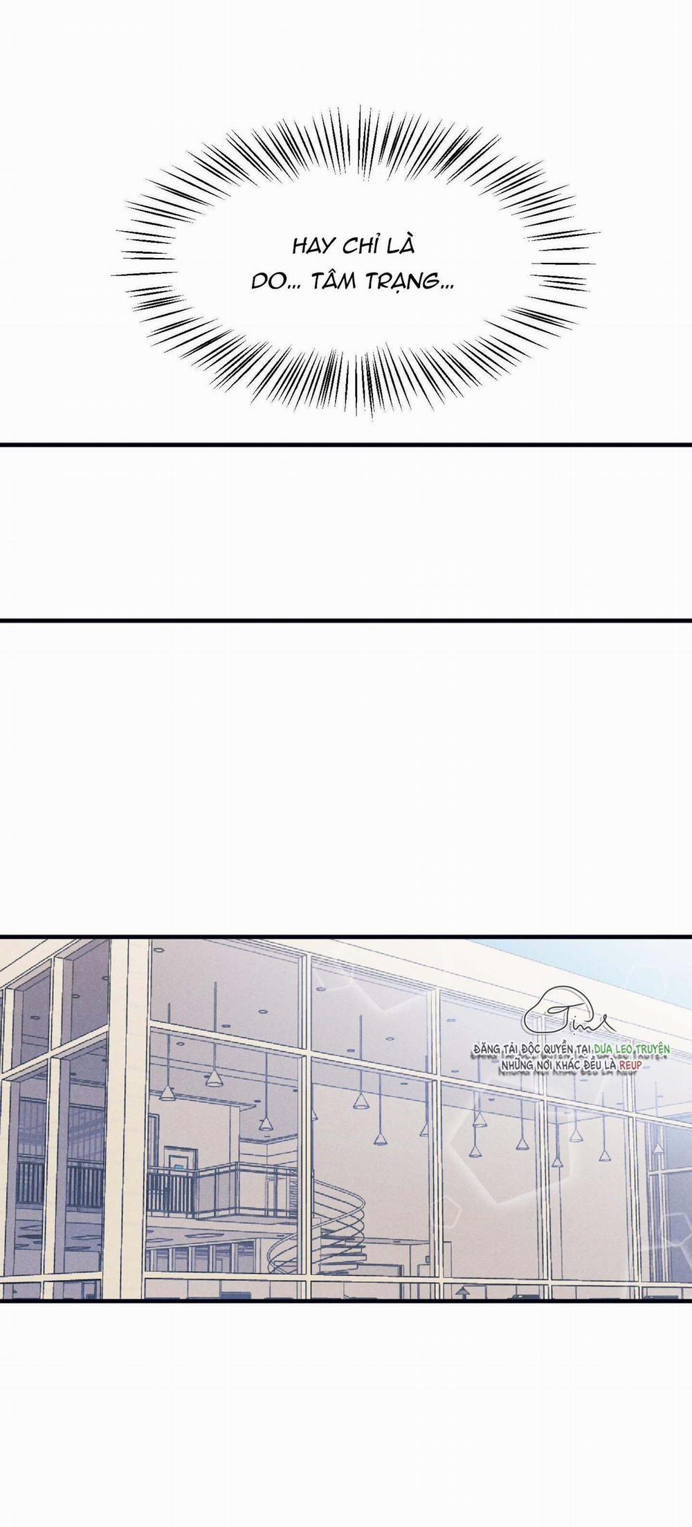 Tuyển Tập Manhwa Dằm Khăm 39 Vàng 5 trang 8