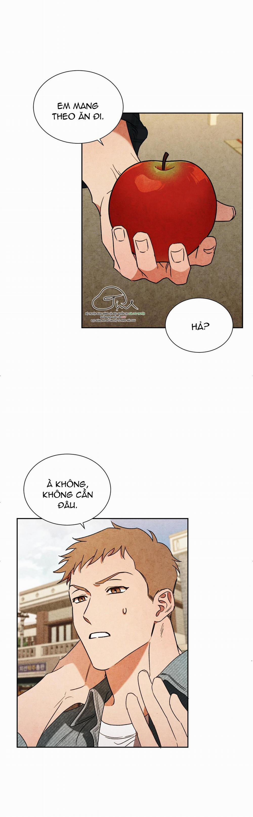 Tuyển Tập Manhwa Dằm Khăm 43 -Dưới chiếc áo1 trang 14