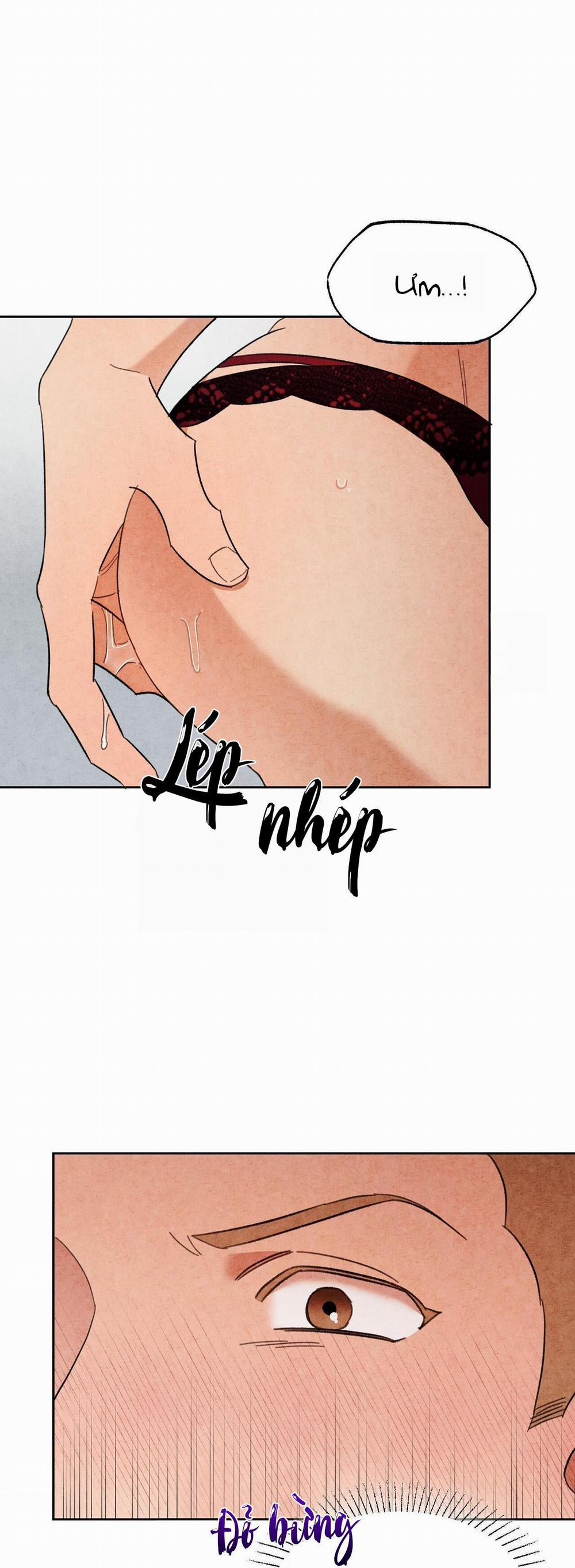 Tuyển Tập Manhwa Dằm Khăm 44 trang 26