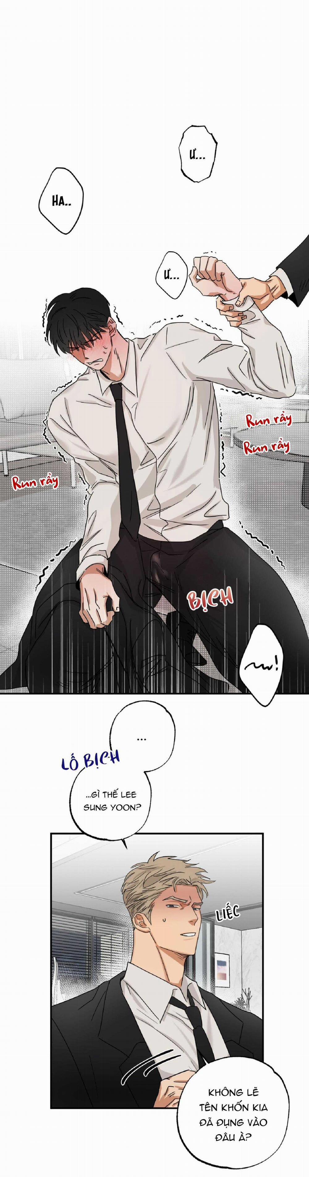 Tuyển Tập Manhwa Dằm Khăm 68 trang 12