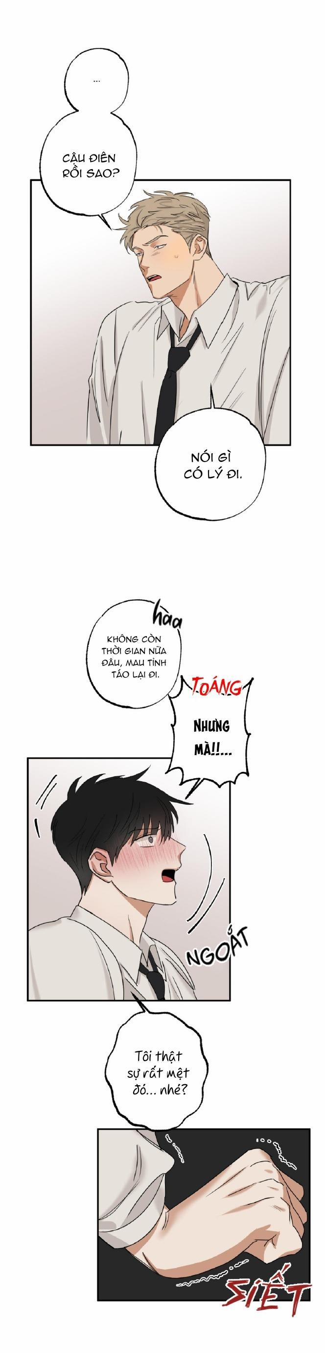 Tuyển Tập Manhwa Dằm Khăm 69 -Pillow Shot 4 trang 1