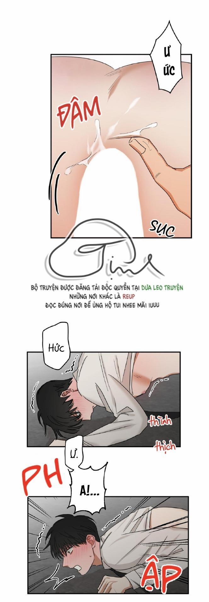 Tuyển Tập Manhwa Dằm Khăm 69 -Pillow Shot 4 trang 11