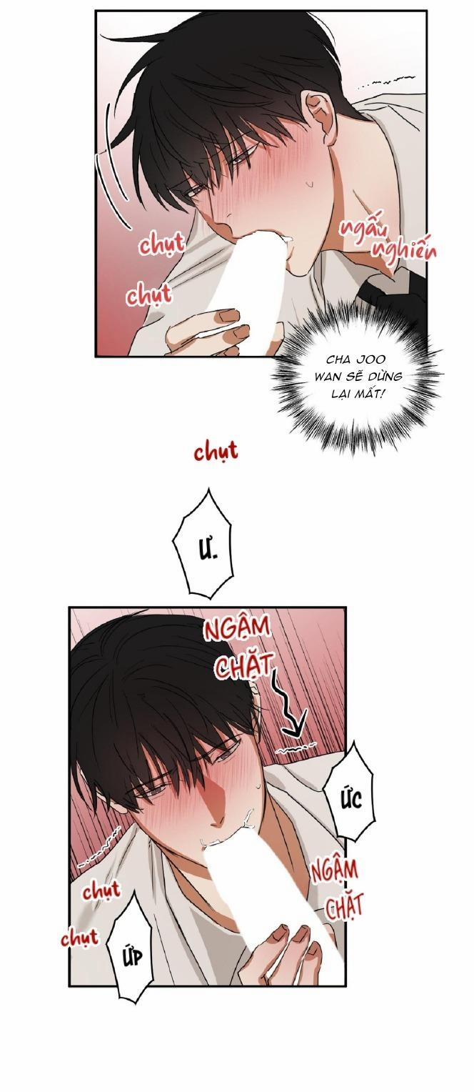 Tuyển Tập Manhwa Dằm Khăm 69 -Pillow Shot 4 trang 3