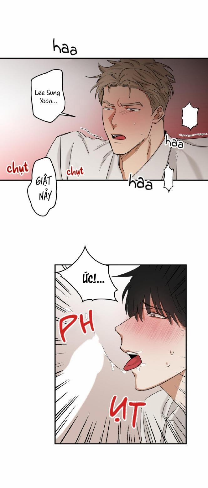 Tuyển Tập Manhwa Dằm Khăm 69 -Pillow Shot 4 trang 4