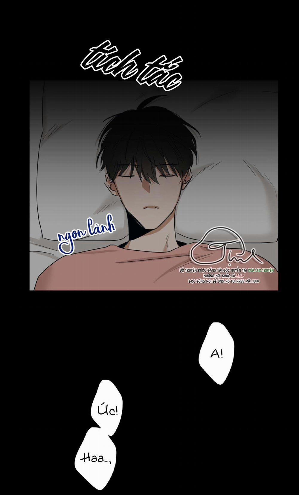 Tuyển Tập Manhwa Dằm Khăm 70 -Pillow Shot 5 trang 1