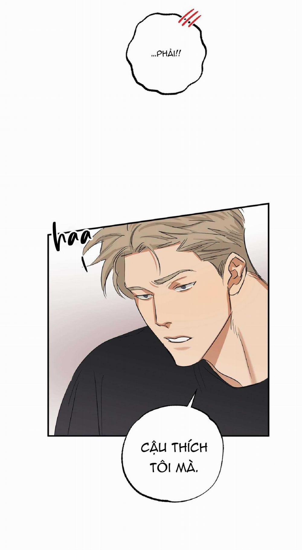 Tuyển Tập Manhwa Dằm Khăm 70 trang 33