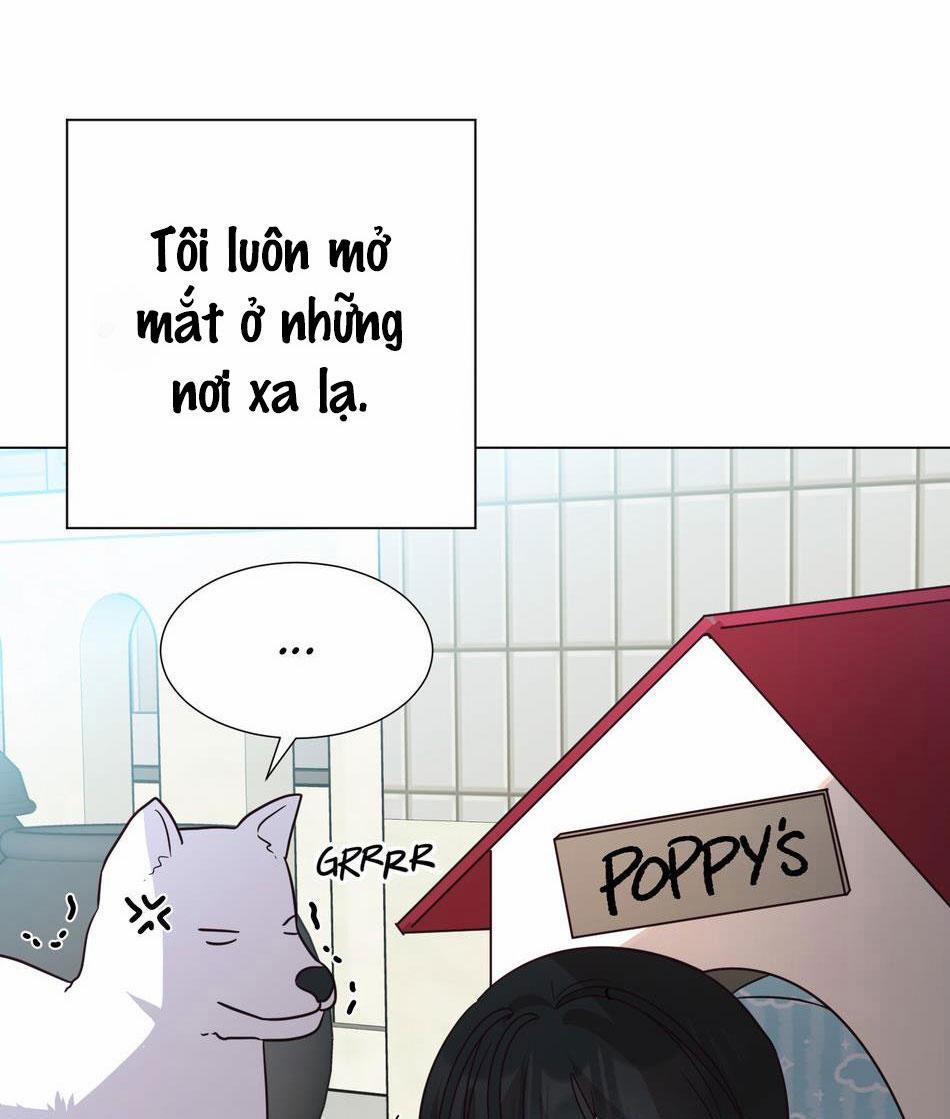 Tuyển Tập Manhwa Dằm Khăm 8 trang 6