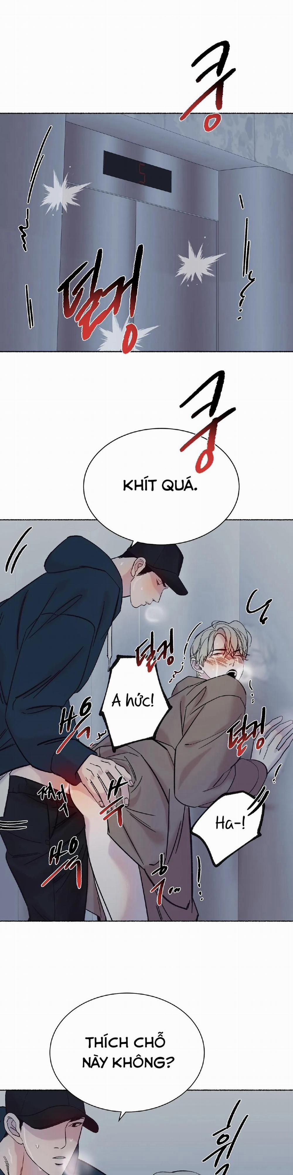 Tuyển tập manhwa người lớn 1.1 trang 0