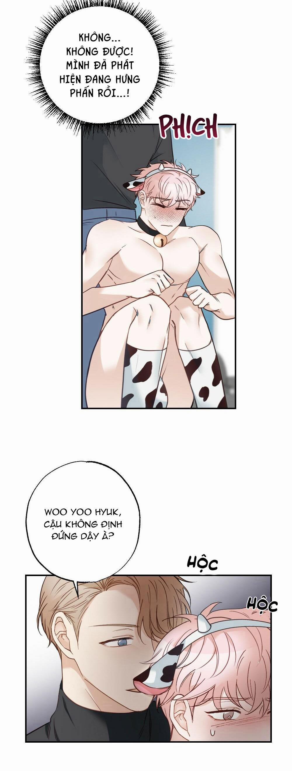 TUYỂN TẬP NGỰC BỰ, CUNG KHỦ CỦA NHÀ KIM 10 trang 39