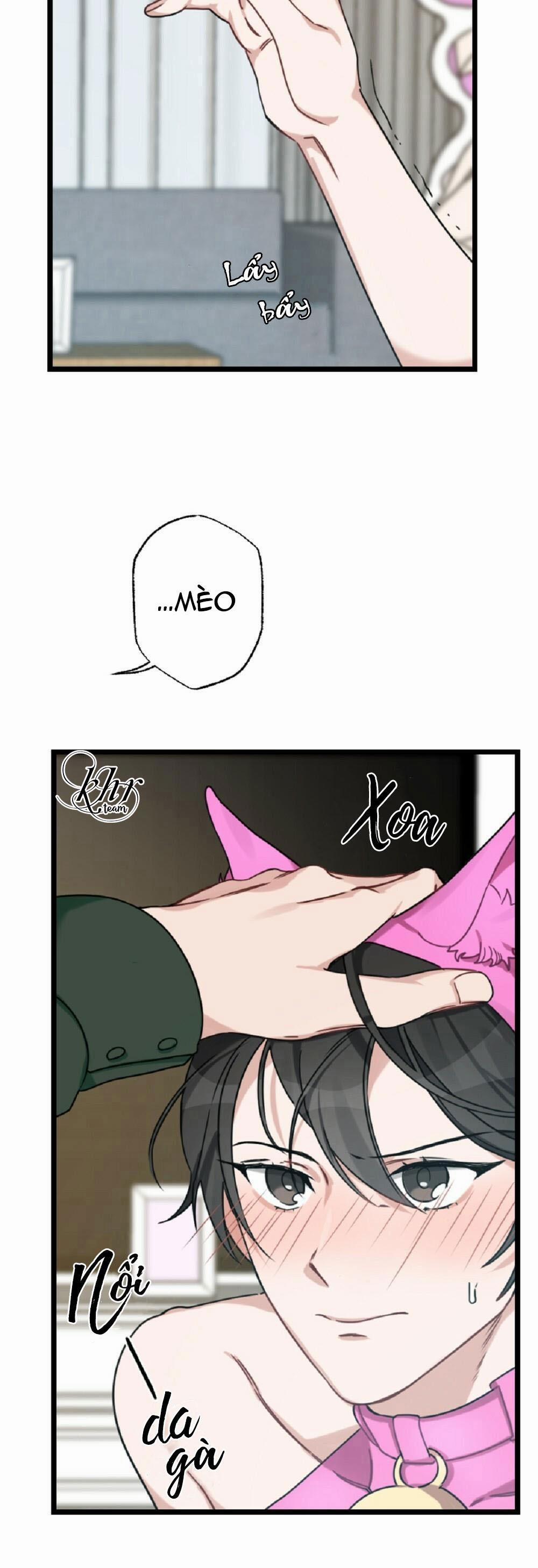 TUYỂN TẬP NGỰC BỰ, CUNG KHỦ CỦA NHÀ KIM 24 trang 15