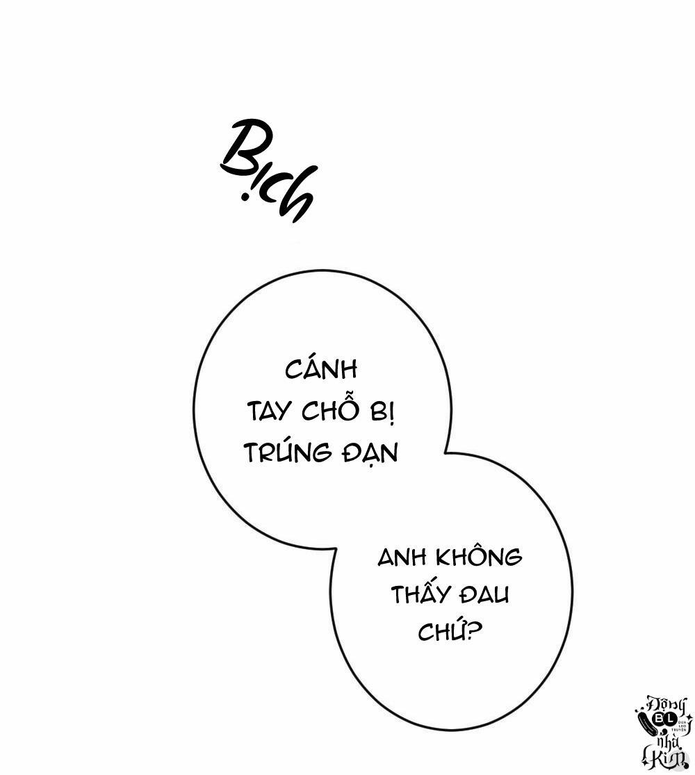 TUYỂN TẬP NGỰC BỰ, CUNG KHỦ CỦA NHÀ KIM 38 KẺ TRỘM NGỰC 3 trang 16