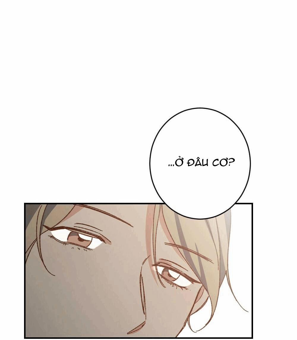 TUYỂN TẬP NGỰC BỰ, CUNG KHỦ CỦA NHÀ KIM 38 KẺ TRỘM NGỰC 3 trang 19