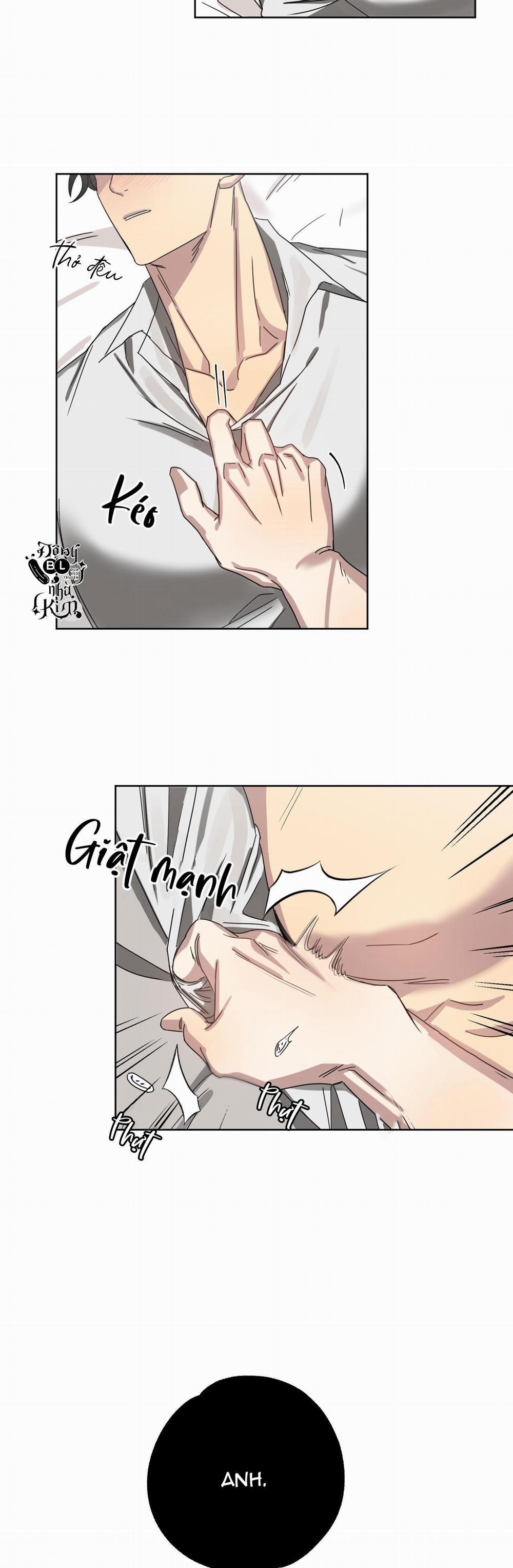 TUYỂN TẬP NGỰC BỰ, CUNG KHỦ CỦA NHÀ KIM 48 trang 17