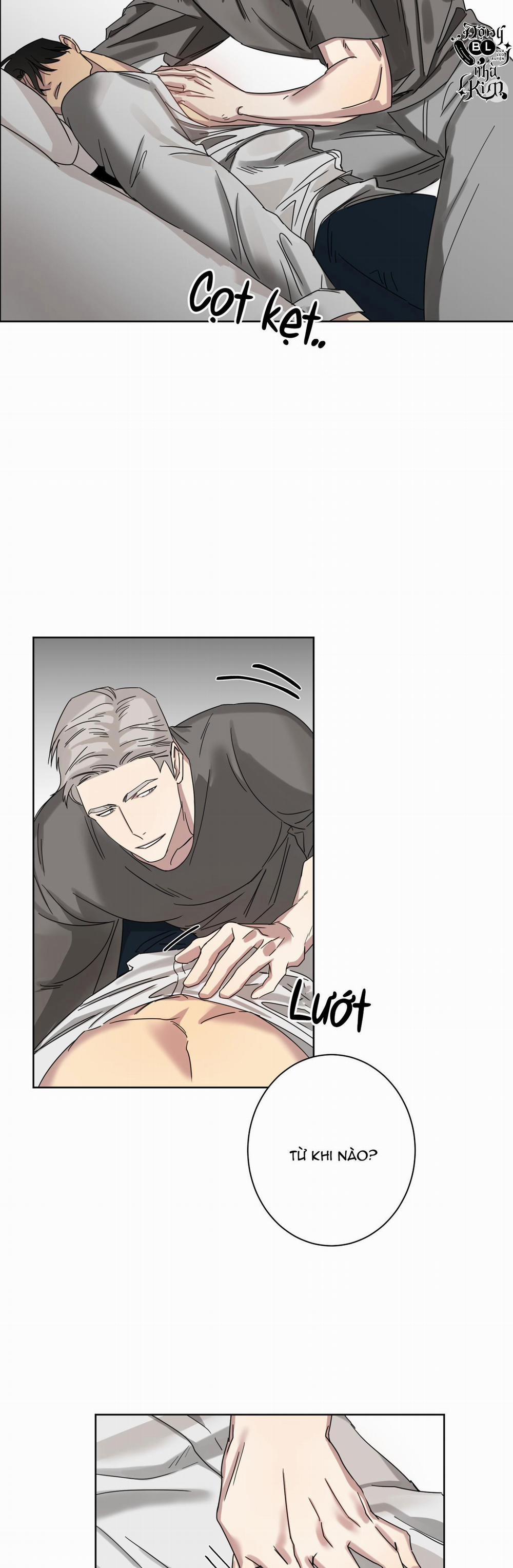 TUYỂN TẬP NGỰC BỰ, CUNG KHỦ CỦA NHÀ KIM 48 trang 19