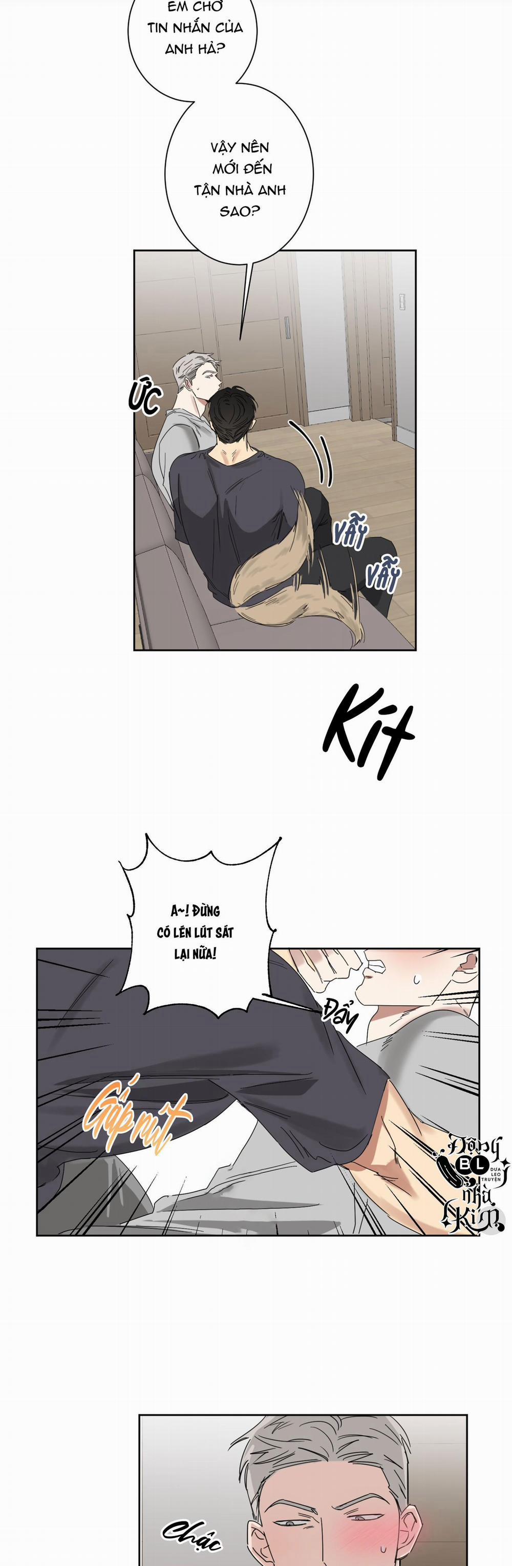 TUYỂN TẬP NGỰC BỰ, CUNG KHỦ CỦA NHÀ KIM 51 trang 12