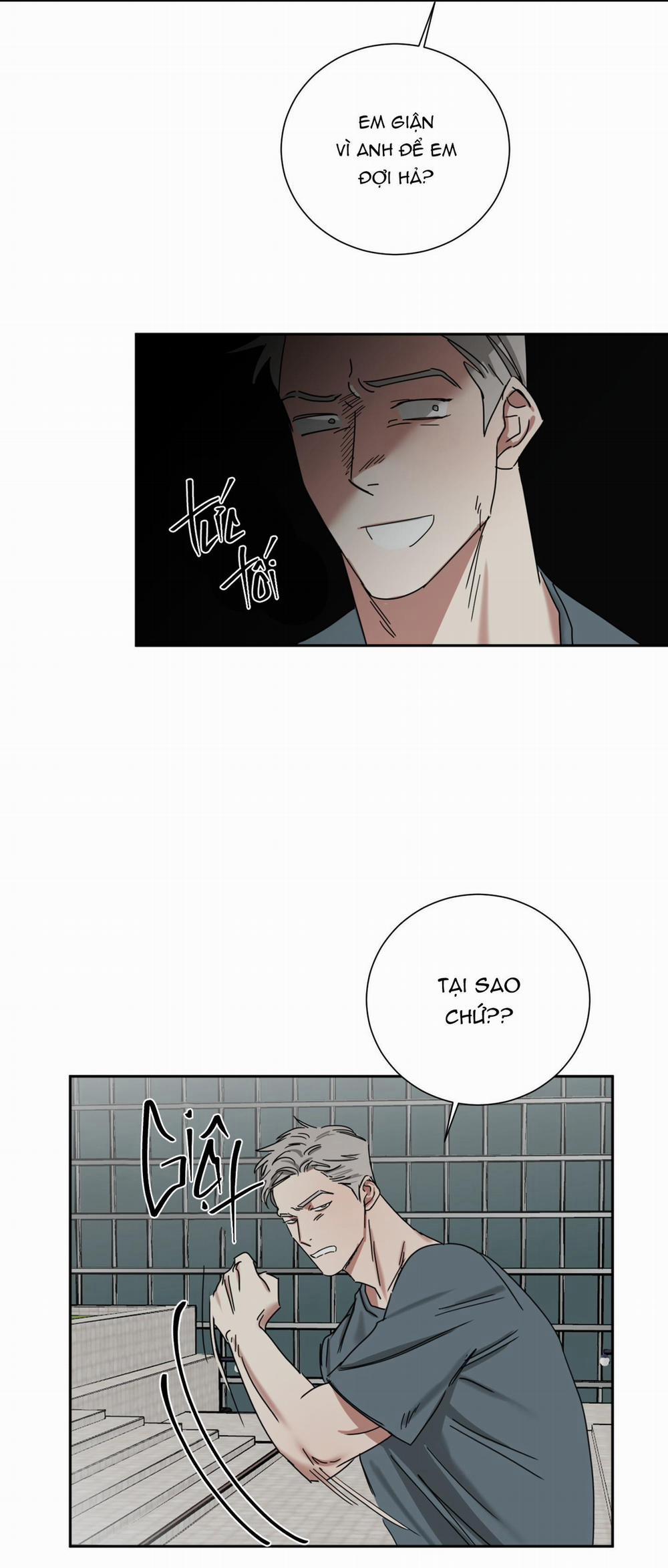 TUYỂN TẬP NGỰC BỰ, CUNG KHỦ CỦA NHÀ KIM 52 trang 12