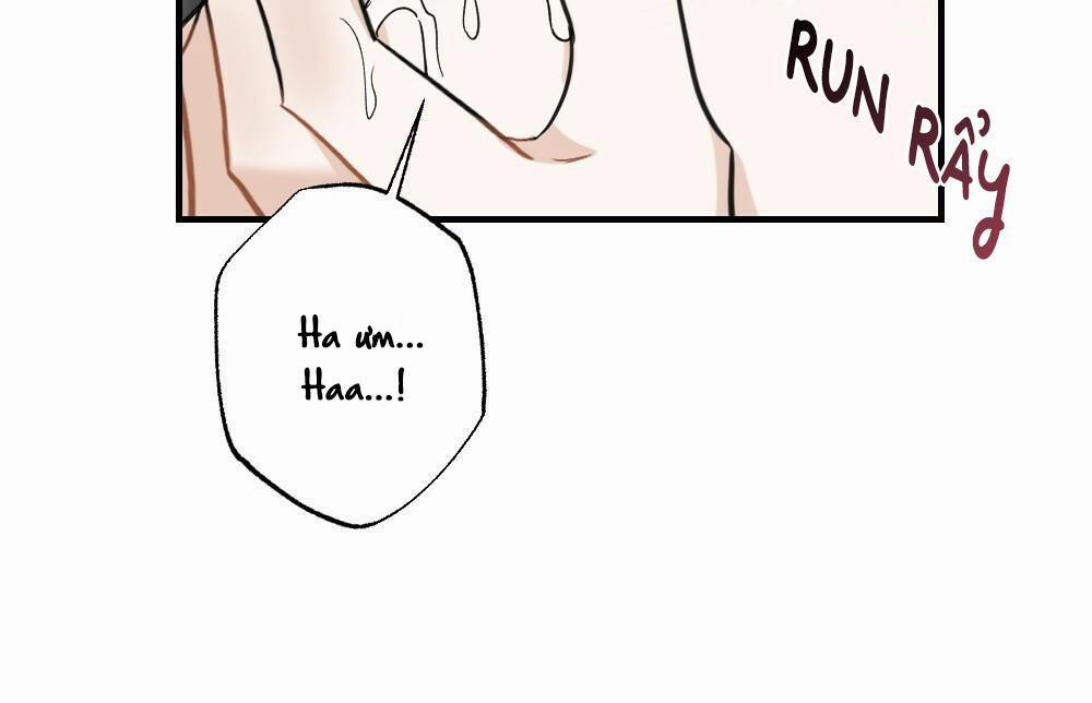 TUYỂN TẬP NGỰC BỰ, CUNG KHỦ CỦA NHÀ KIM 8 trang 43