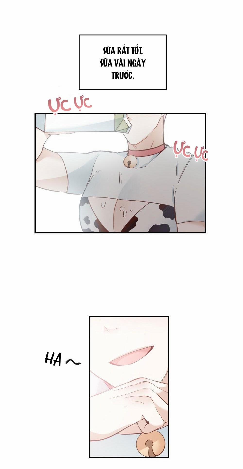 Tuyển Tập Ngực Bự Mlem - BDSM Của Nhà Kim 10 trang 3