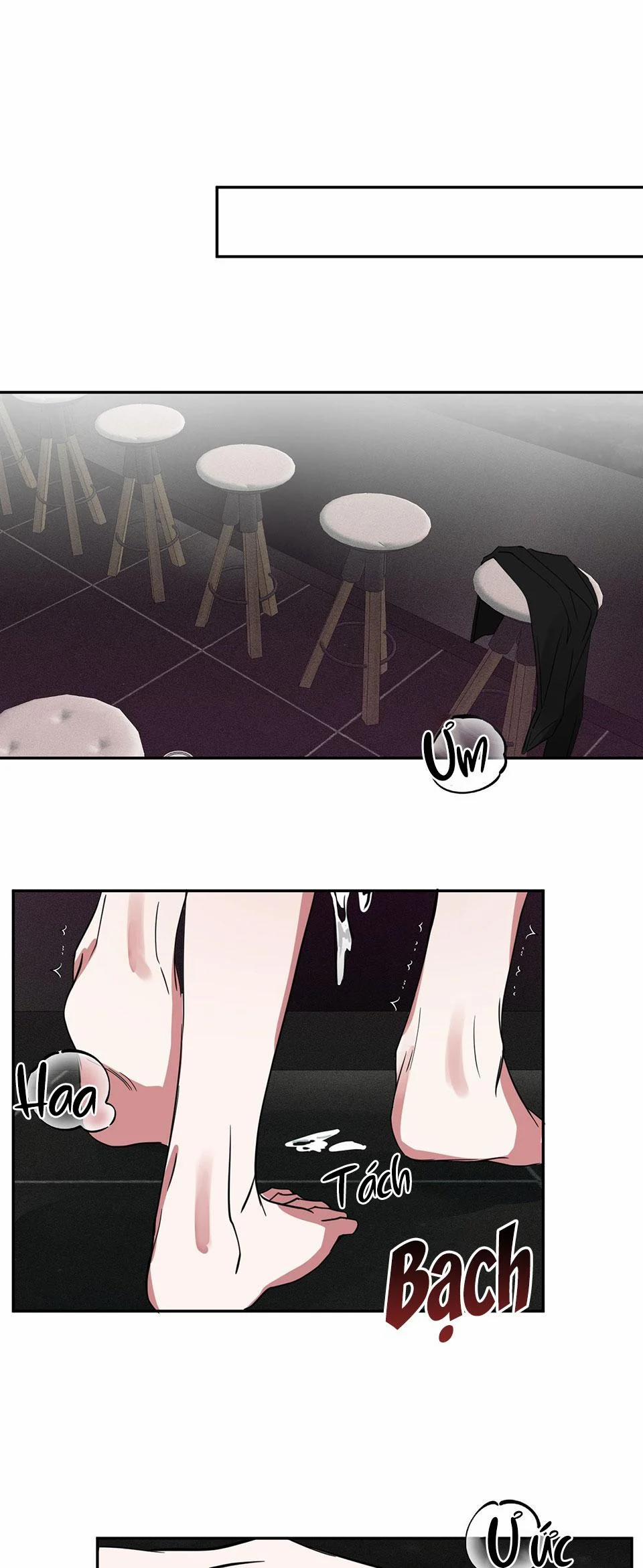 Tuyển Tập Ngực Bự Mlem - BDSM Của Nhà Kim 102 trang 0