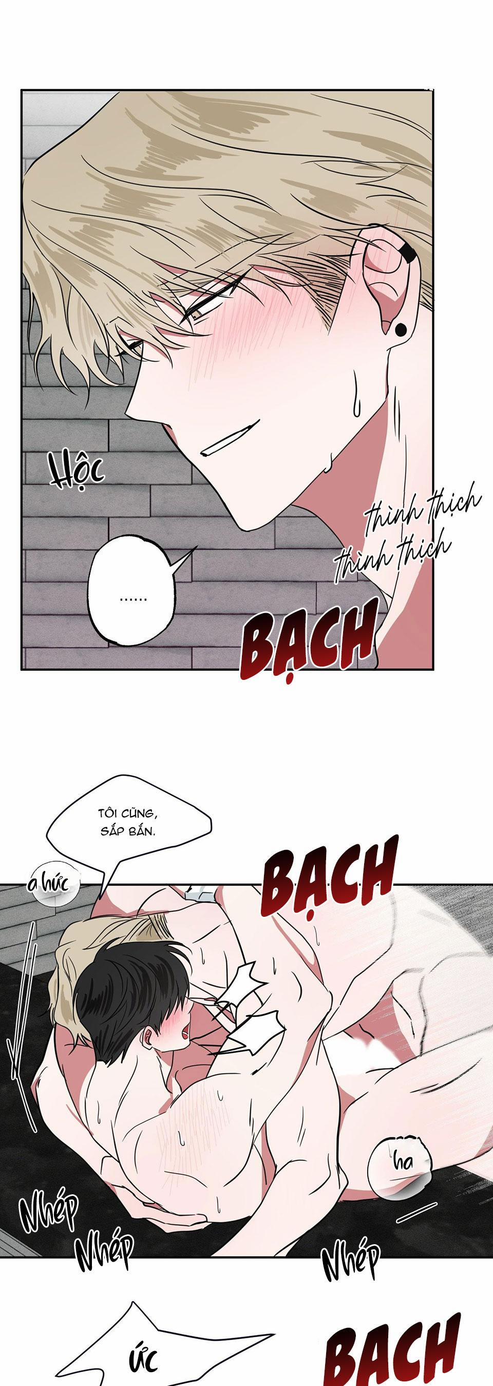 Tuyển Tập Ngực Bự Mlem - BDSM Của Nhà Kim 102 trang 21