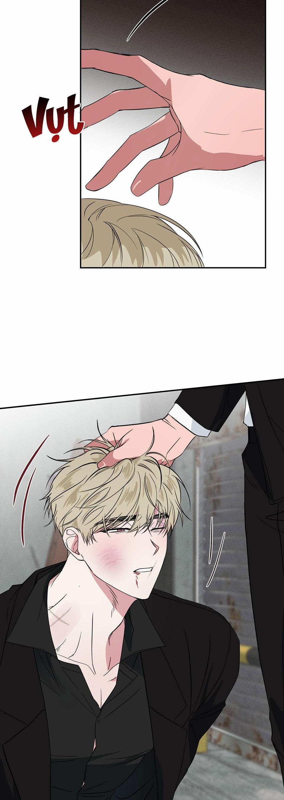 Tuyển Tập Ngực Bự Mlem - BDSM Của Nhà Kim 104 trang 8