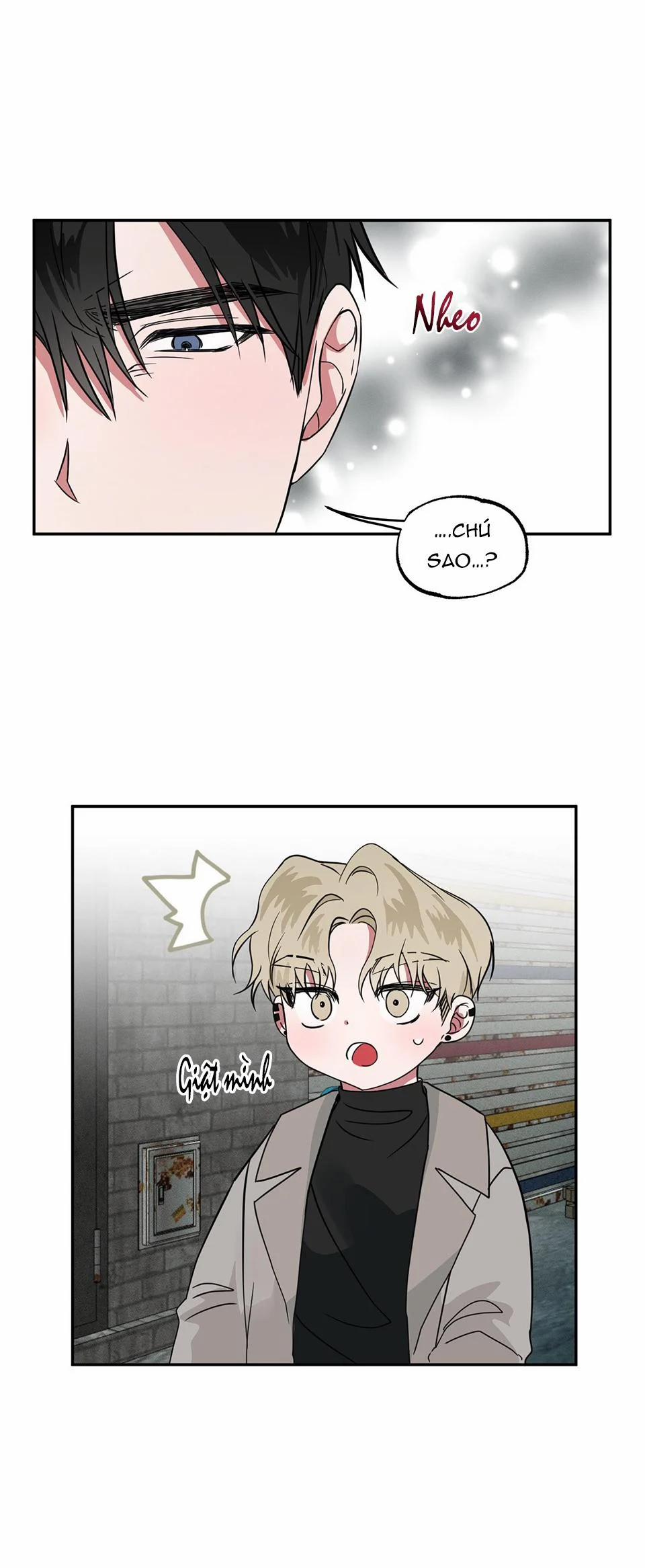 Tuyển Tập Ngực Bự Mlem - BDSM Của Nhà Kim 105 trang 2