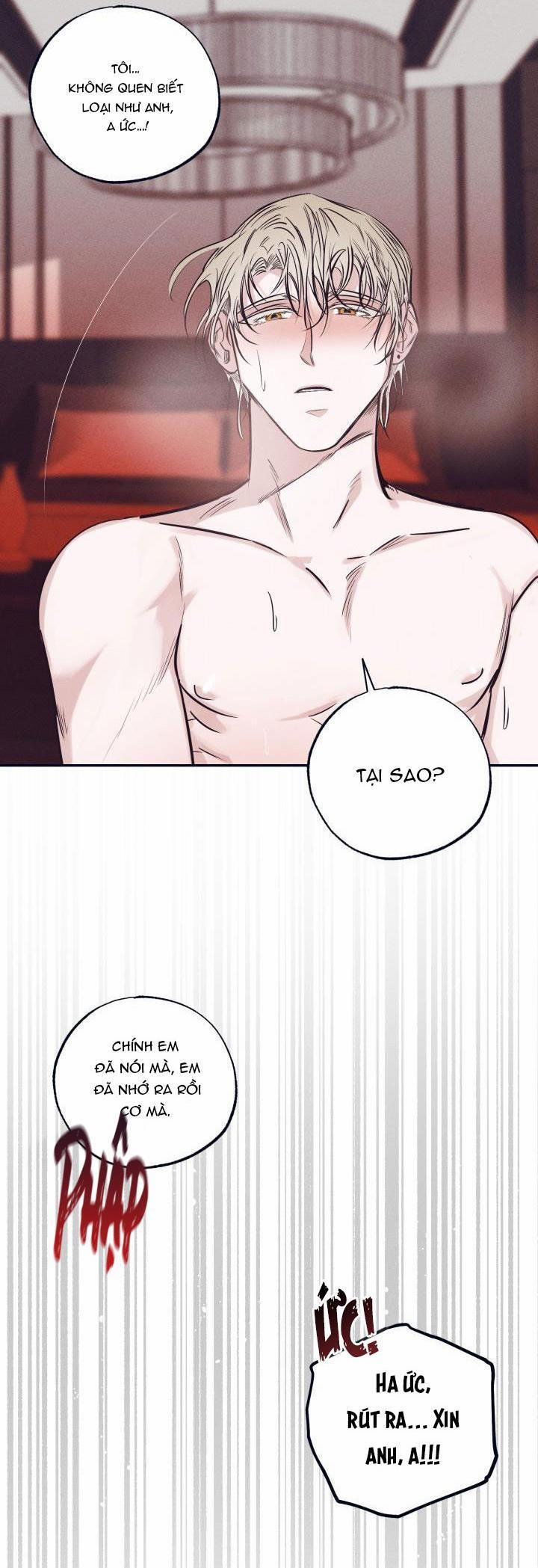 Tuyển Tập Ngực Bự Mlem - BDSM Của Nhà Kim 14 trang 5