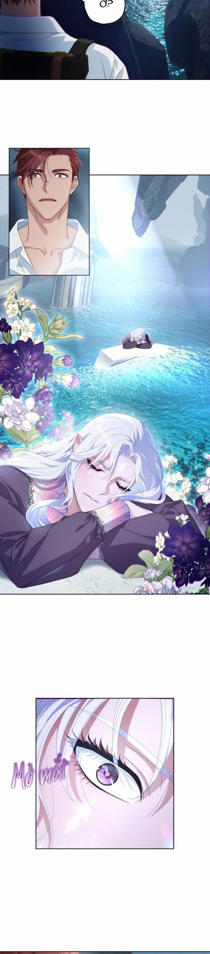 Tuyển Tập Ngực Bự Mlem - BDSM Của Nhà Kim 156.1 trang 2